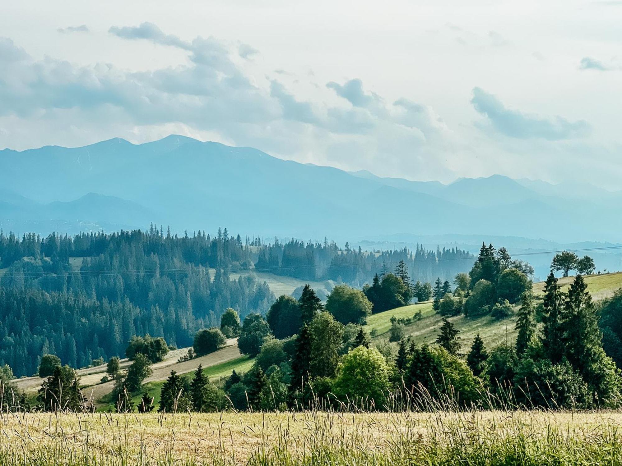 Owczarnia Tatry Villa Bukowina Tatrzańska Eksteriør billede
